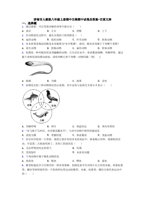 济南市人教版八年级上册期中生物期中试卷及答案-百度文库