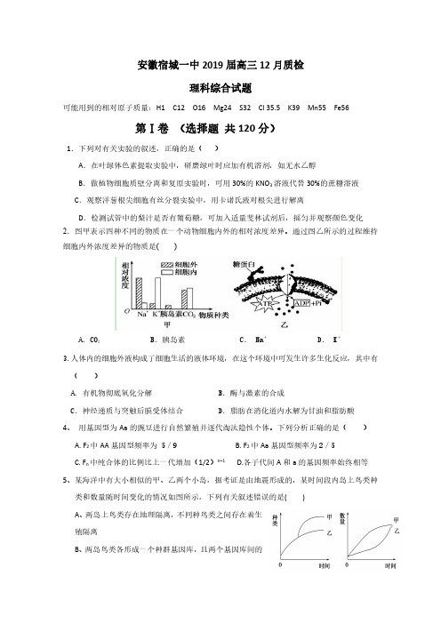 安徽省宿城一中(宿州一中)2019届高三12月质检理科综合试题(pdf版)