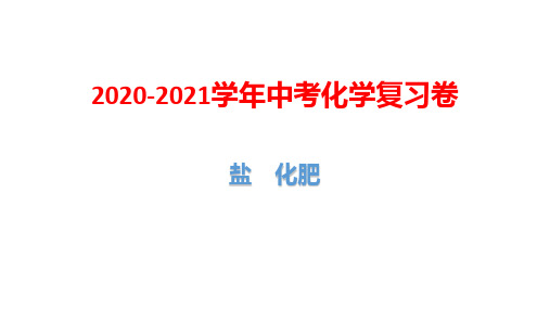 2020-2021学年中考化学复习卷：盐 化肥