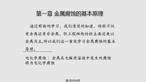 金属腐蚀的基本原理腐蚀原理PPT课件