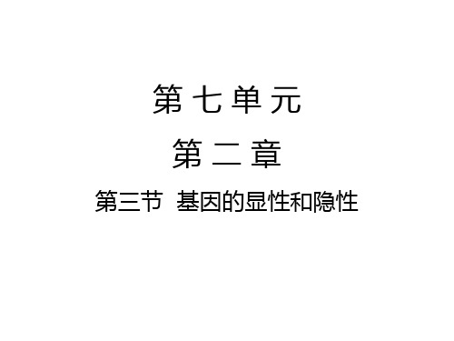 人教版八年级生物下册第七单元第二章第二节  基因在亲子代间的传递课件