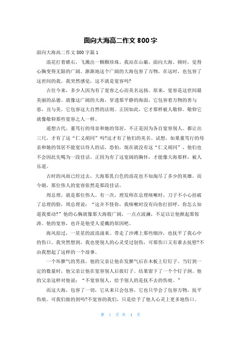 面向大海高二作文800字