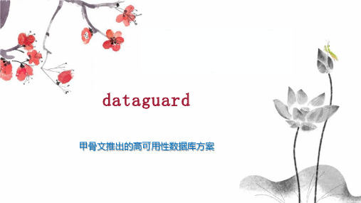 dataguard