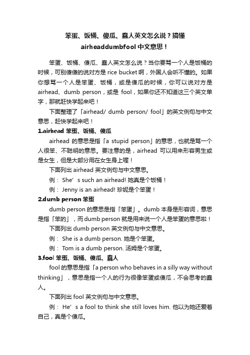 笨蛋、饭桶、傻瓜、蠢人英文怎么说？搞懂airheaddumbfool中文意思！