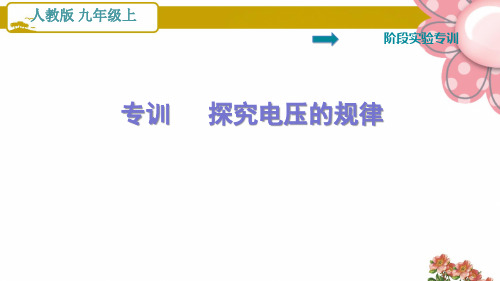 人教版九年级物理阶段实验专训   探究电压的规律