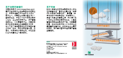 Chinese - BNP Paribas