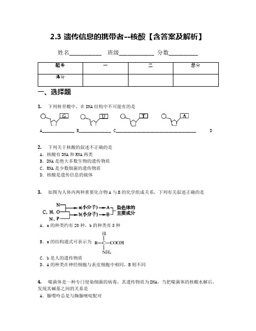 2.3 遗传信息的携带者--核酸【含答案及解析】