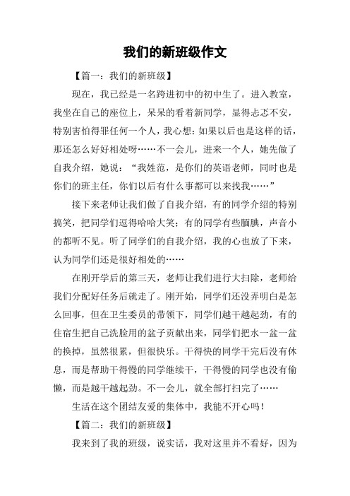 我们的新班级作文