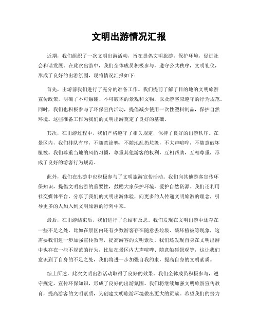 文明出游情况汇报