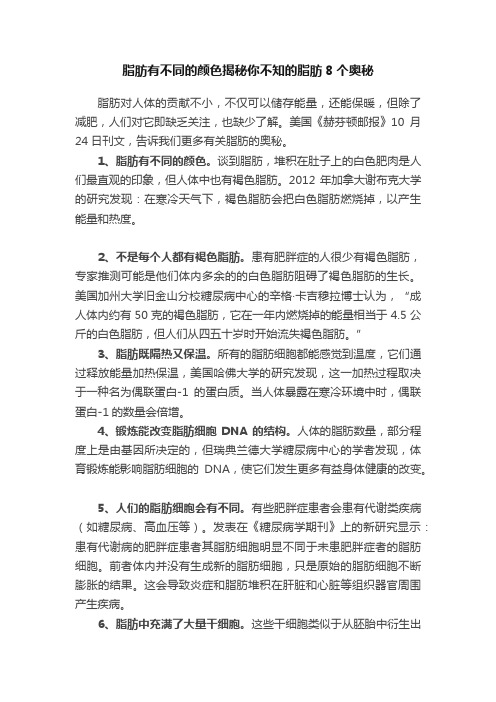 脂肪有不同的颜色揭秘你不知的脂肪8个奥秘