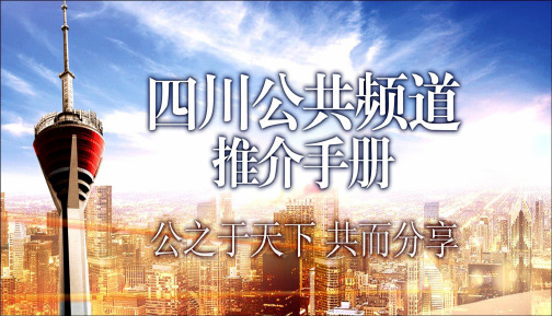 四川电视台公共频道广告资源推介手册