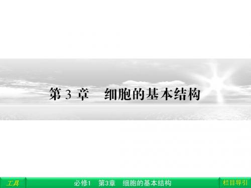 生物必修1 3-1、3 细胞膜——系统的边界 细胞核——系统的控制中心课件(高三复习)