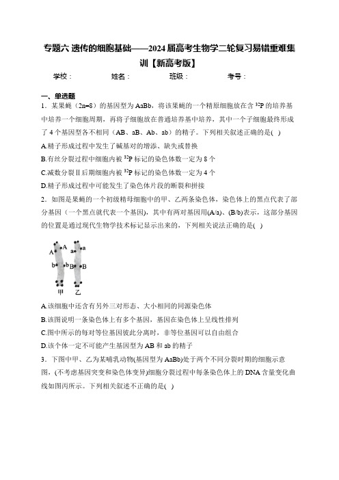 专题六 遗传的细胞基础——2024届高考生物学二轮复习易错重难集训【新高考版】(含答案)