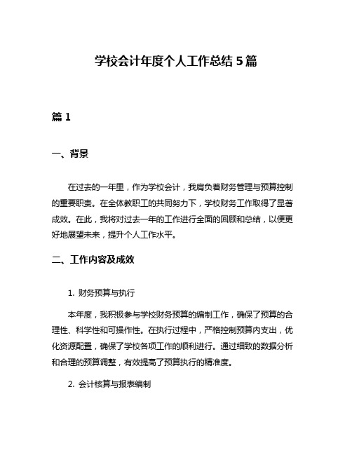 学校会计年度个人工作总结5篇