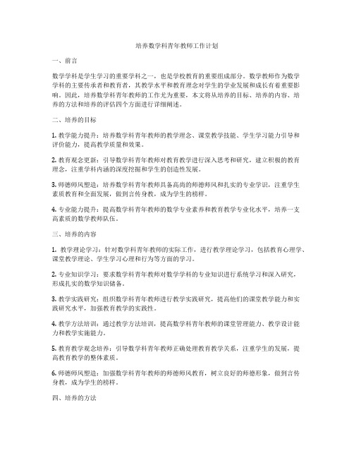 培养数学科青年教师工作计划