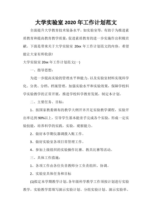个人工作计划 大学实验室2020年工作计划范文