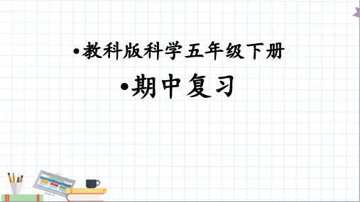 教科版五年级科学下册其中复习课件