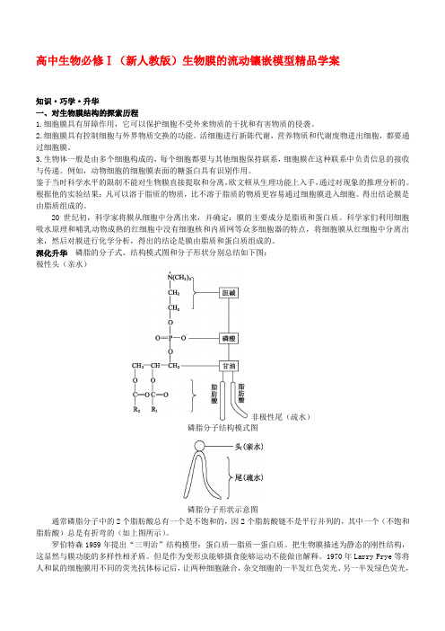 导学案1：生物膜的流动镶嵌模型