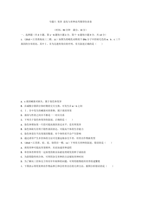 江苏省2019年高考生物复习题：专题六 变异 进化与育种高考微型仿真卷 Word版含答案