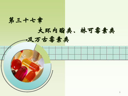 大环内酯类、林可霉素类及万古霉素类-药理学-37