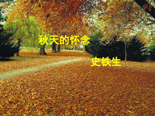 六年级上册语文课件-语文百花园三 温故知新 秋天的怀念｜语文S版(共20张PPT)