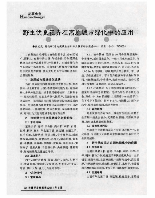 野生优良花卉在高原城市绿化中的应用