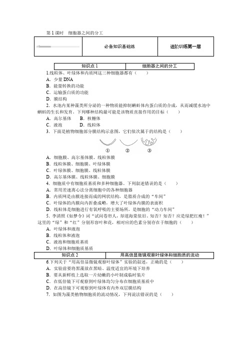 3.2.1 细胞器之间的分工