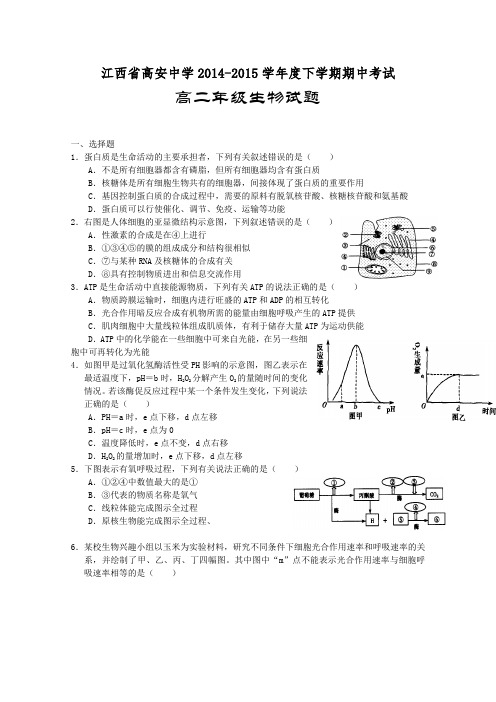 江西省高安中学2014-2015学年高二下学期期中考试生物试卷Word版含答案