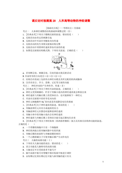 统考版2025版高考生物一轮复习课后定时检测案28人和高等动物的神经调节