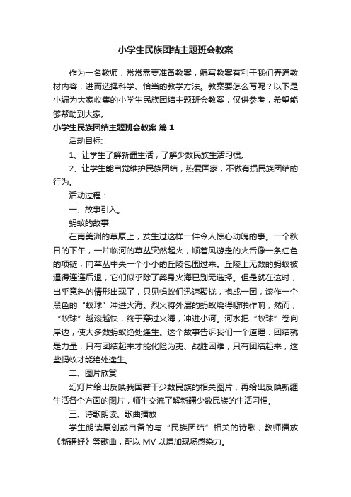 小学生民族团结主题班会教案