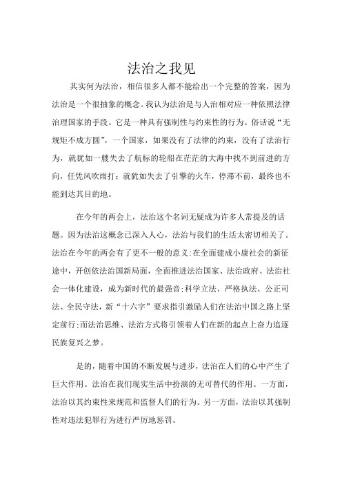 法治之我见
