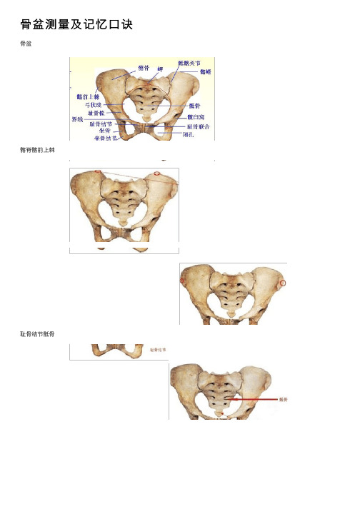 骨盆测量及记忆口诀