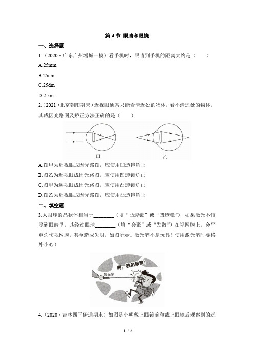 《眼睛和眼镜》能力提升练