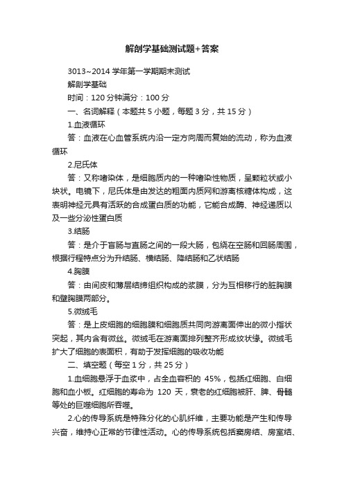 解剖学基础测试题+答案