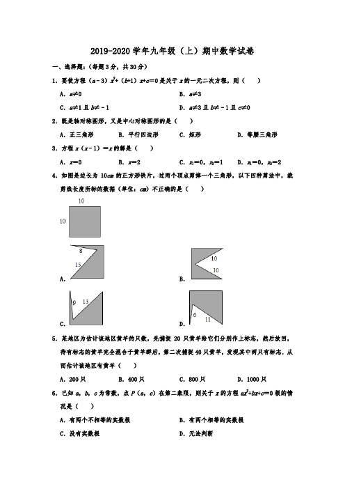 广东省揭阳市榕城区2019-2020学年九年级(上)期中数学试卷  含解析