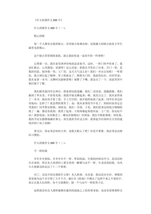 什么的我作文600字10篇优秀版