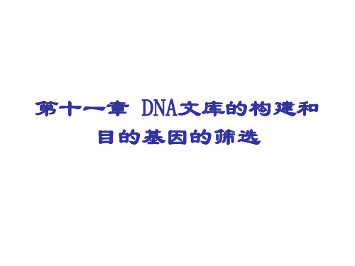 第十一章 DNA文库的构建和目的基因的筛选.pp t