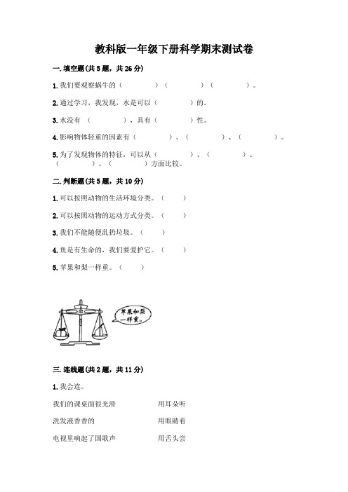 教科版一年级下册科学期末测试卷附参考答案(满分必刷)