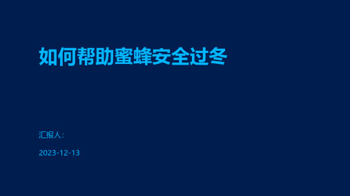 如何帮助蜜蜂安全过冬