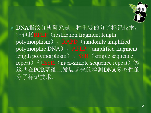 分子标记技术优秀课件