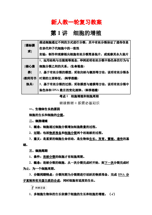 新人教一轮复习教案：必修1 第4单元 第1讲 细胞的增殖