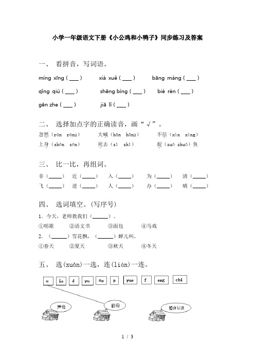 小学一年级语文下册《小公鸡和小鸭子》同步练习及答案