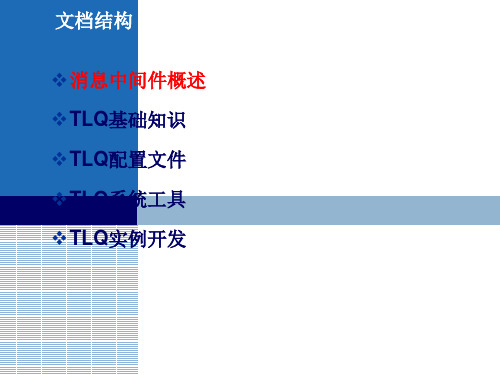 TonglinkQ在跨平台系统中的应用