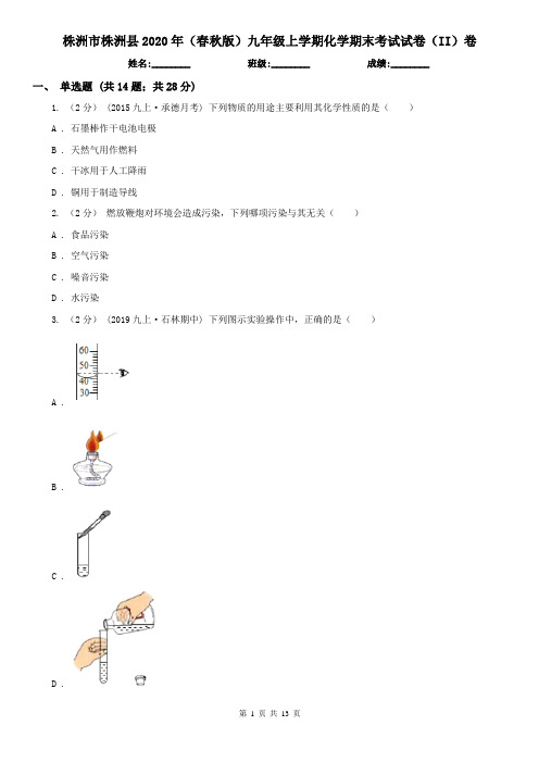 株洲市株洲县2020年(春秋版)九年级上学期化学期末考试试卷(II)卷