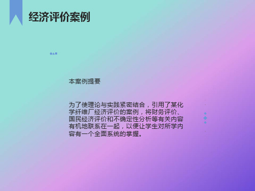 项目评估案例分析