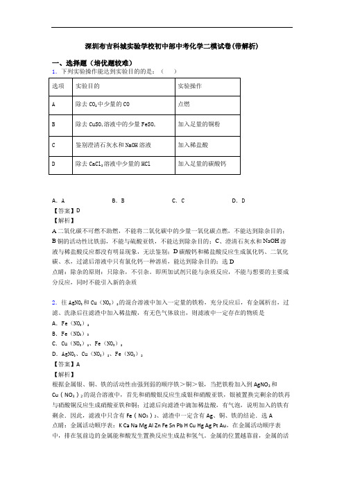 深圳布吉科城实验学校初中部中考化学二模试卷(带解析)
