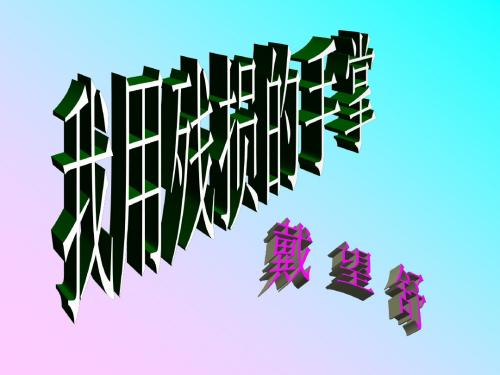 2《我用残损的手掌》课件(修)