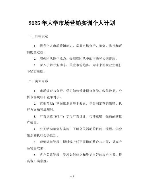 2025年大学市场营销实训个人计划