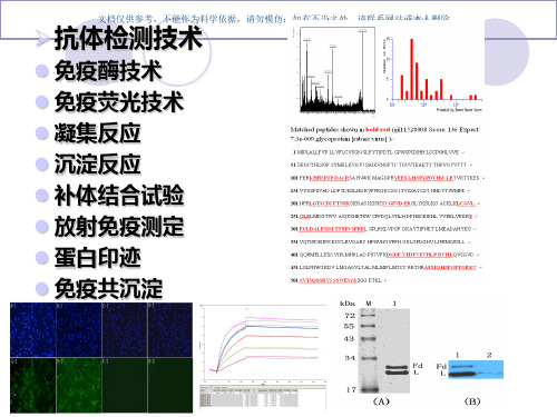 抗体检测技术课件