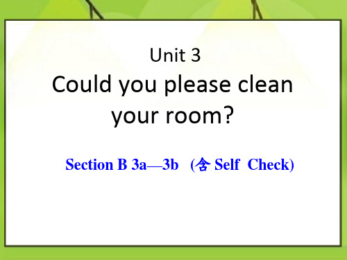 Could you please clean your room (3)